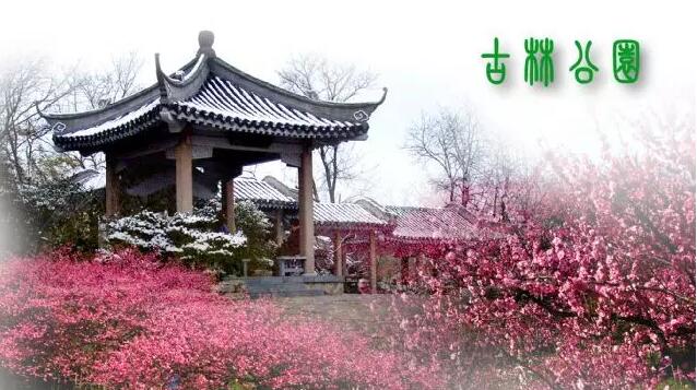 <b>【南京三門灣電器】周日4.24古林公園賞牡丹花、</b>